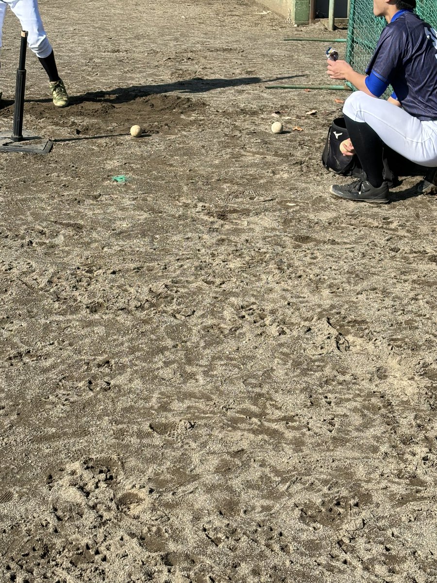 dendaibaseball's tweet photo. 関東地区大学準硬式野球選手権大会に向けて練習中です。新入生の皆さん、何か質問などあれば、質問箱にお願いします！ https://t.co/G1fUwFkZ2q