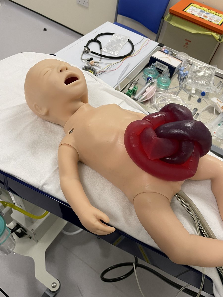 GilloneJenna's tweet photo. A fantastic opportunity to work as our neonatal simulation and transport fellow. Applications open now. https://t.co/Ju67EEEY6R @NEsimulation @NewcastleHosps @LaurenDhugga https://t.co/cU8ckXRZbf