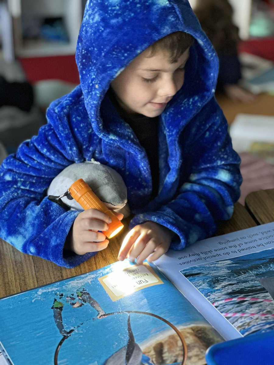 Jessica Contratto tweet media