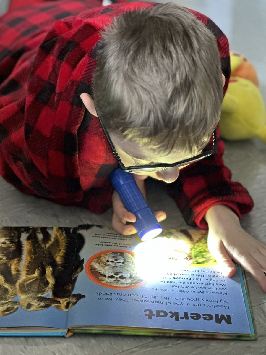 Jessica Contratto tweet media