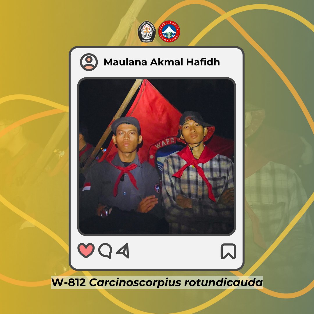 WAPEALA UNDIP tweet media