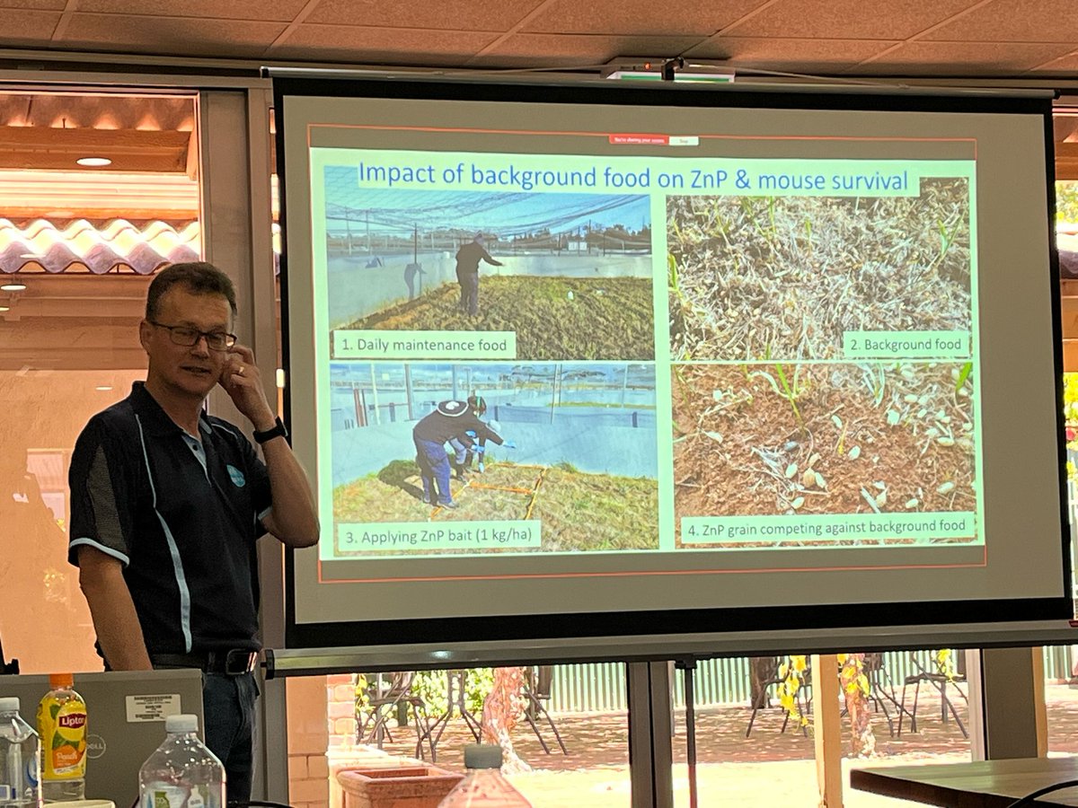 Grain Producers SA tweet media