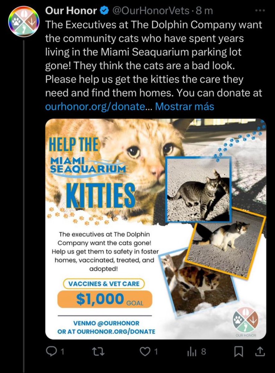 FAKE
MSQ will always be in favor of animal welfare, in no way its collaborators would harm any species.