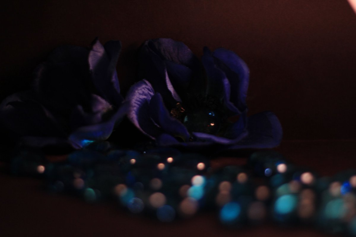 John-Scott Christman tweet media