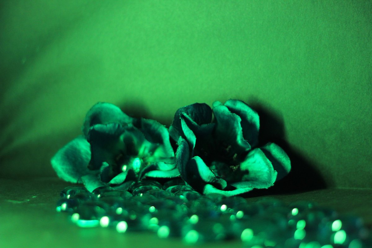 John-Scott Christman tweet media