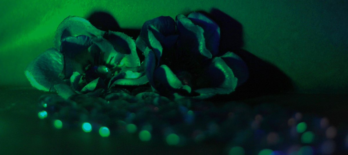 John-Scott Christman tweet media