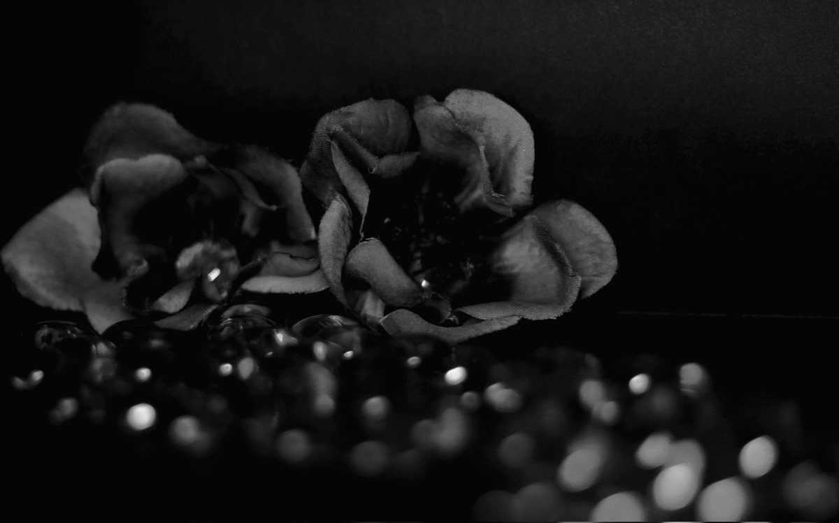 John-Scott Christman tweet media