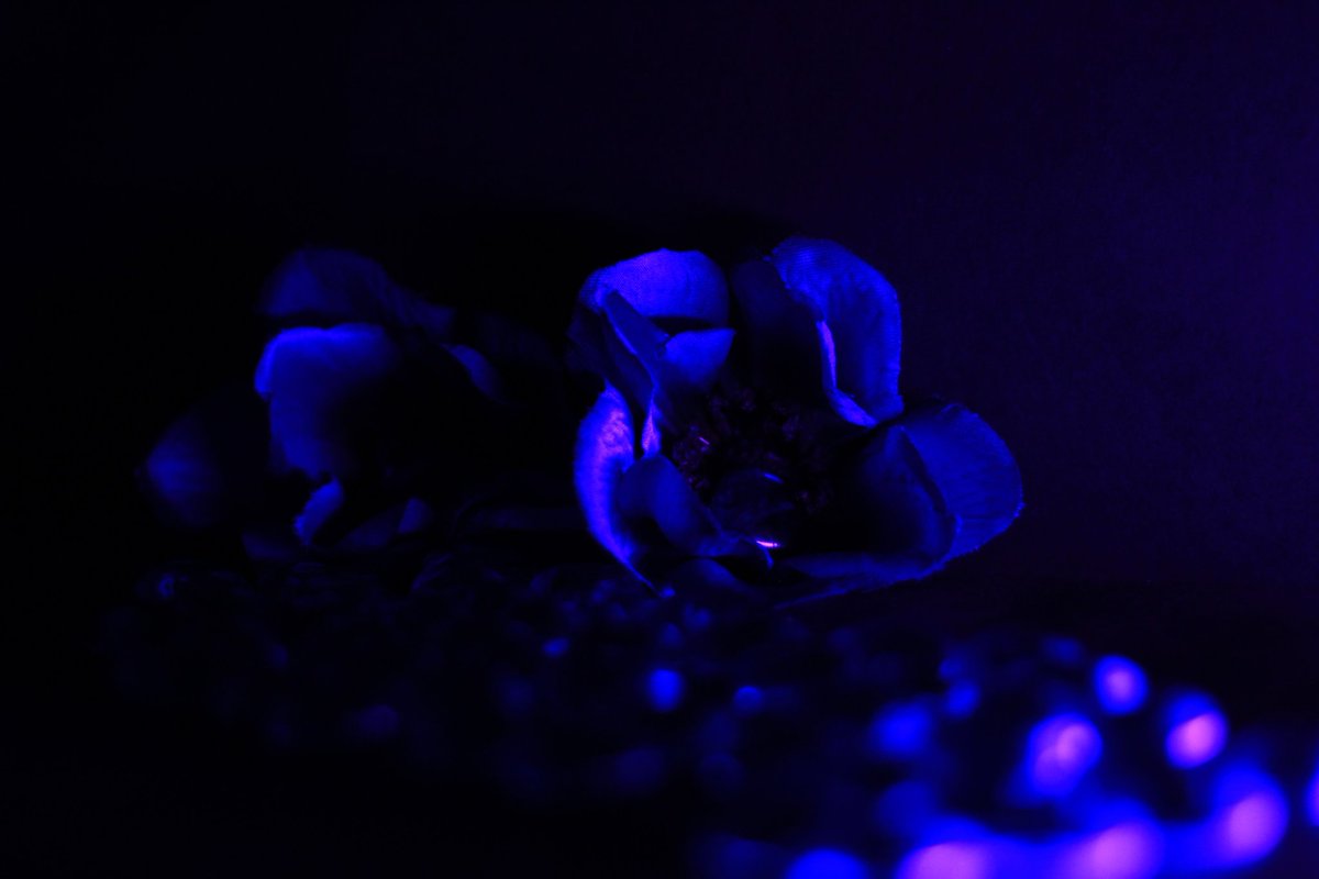 John-Scott Christman tweet media