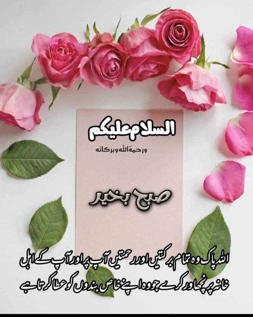 BandahAli's tweet photo. https://t.co/nkFk6QzBz2
