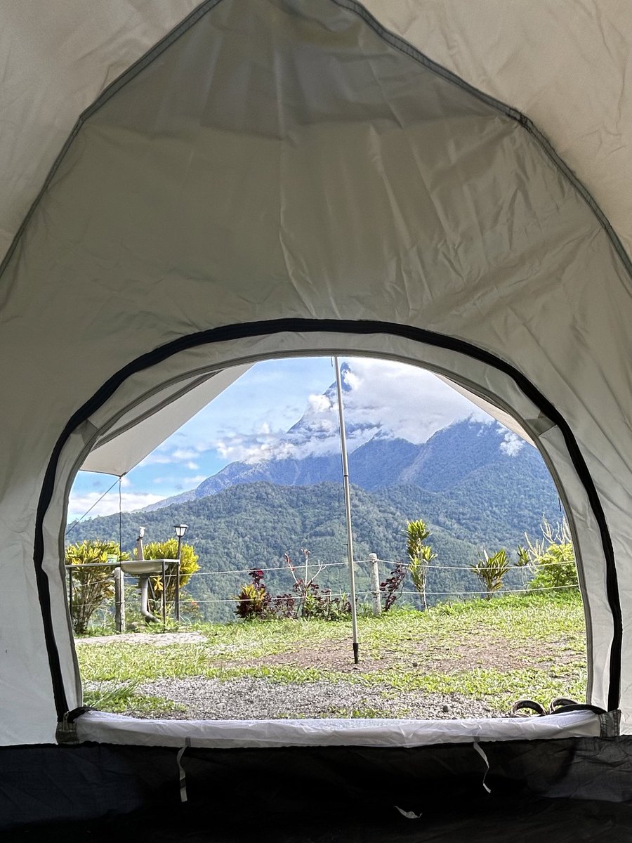 sweetheart tweet media