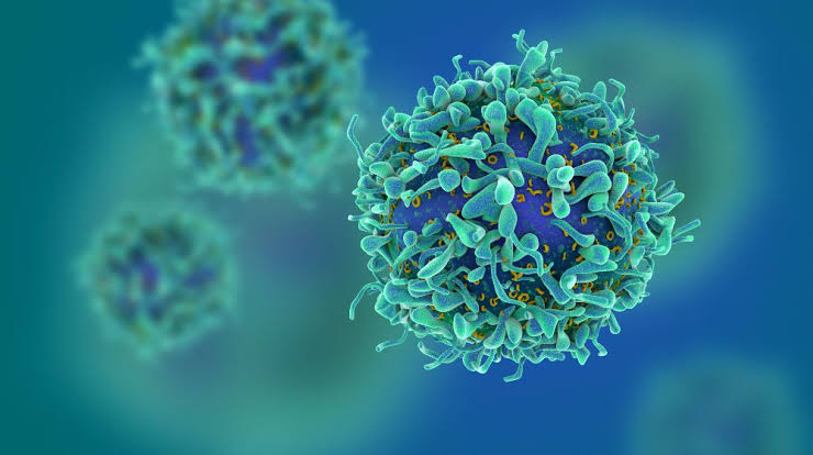 Indian Tech & Infra tweet media