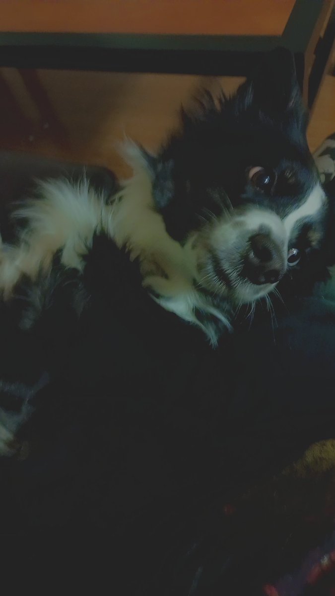 aegisexe's tweet photo. Delta appreciation post because I've been reminded twitter exists https://t.co/aV7MtIyrD5