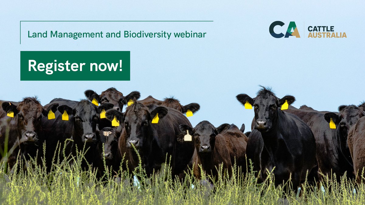 Members and industry stakeholders are encouraged to join Cattle Australia on Feb 15 for our second Land Management and Biodiversity webinar. Register now - bit.ly/CA-register-now