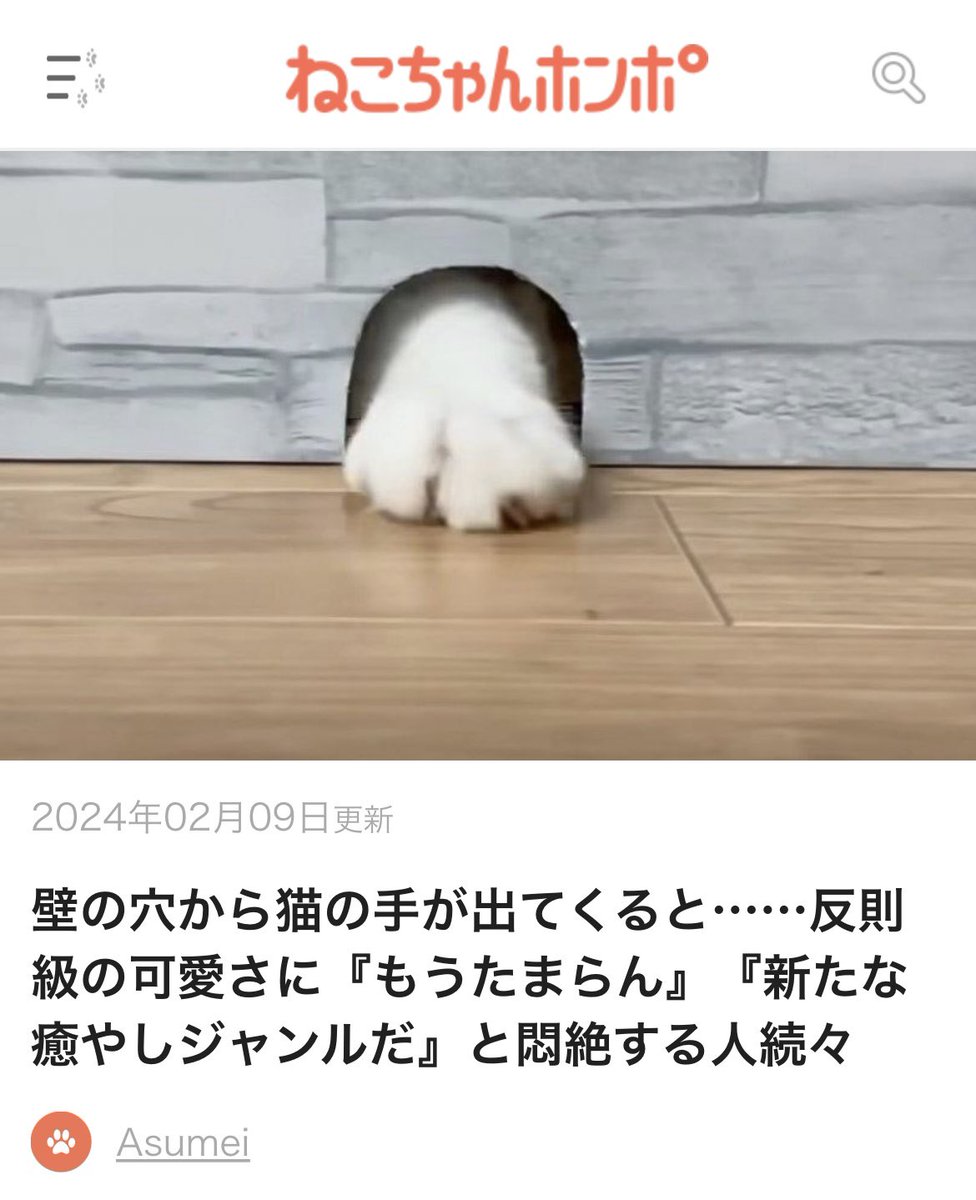 nyaromeeko's tweet photo. 📢＼　おしらせ　／

ねこちゃんホンポさまが
元野良猫まるとら&amp;ぽこまるの
動画を記事にしてくださいました🤗

時々見たくなるお気に入りの動画です💕皆さんもぜひご覧ください〜✨

https://t.co/Cf4tlH4CoS

#猫がいる生活　#保護猫 https://t.co/J2WhnUE0vu