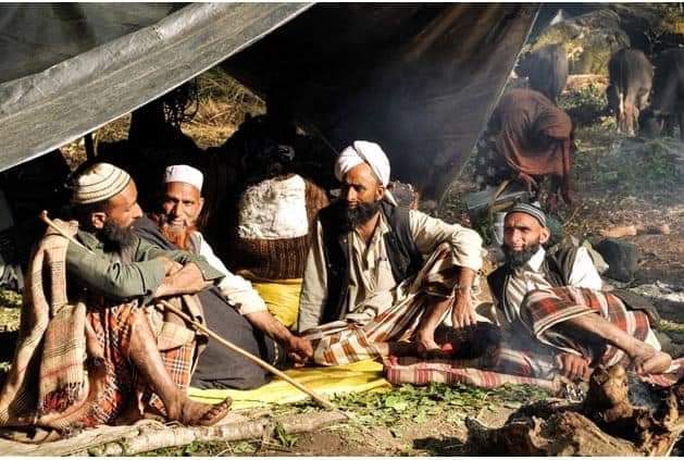 Choudharyriazk1's tweet photo. Not ST Status to upper castes.Gurjjar Bakerwals are protecting the soverginity of India in the foreward areas of LOC in J&amp;K. Its sheer injustice with them by including the elite classes of J&amp;K in ST
#NoSTStatusToEliteClassesInJK
@narendramodi 
@HMOIndia 
@AmitShah 
@TribalArmy https://t.co/rNclSd3ynp