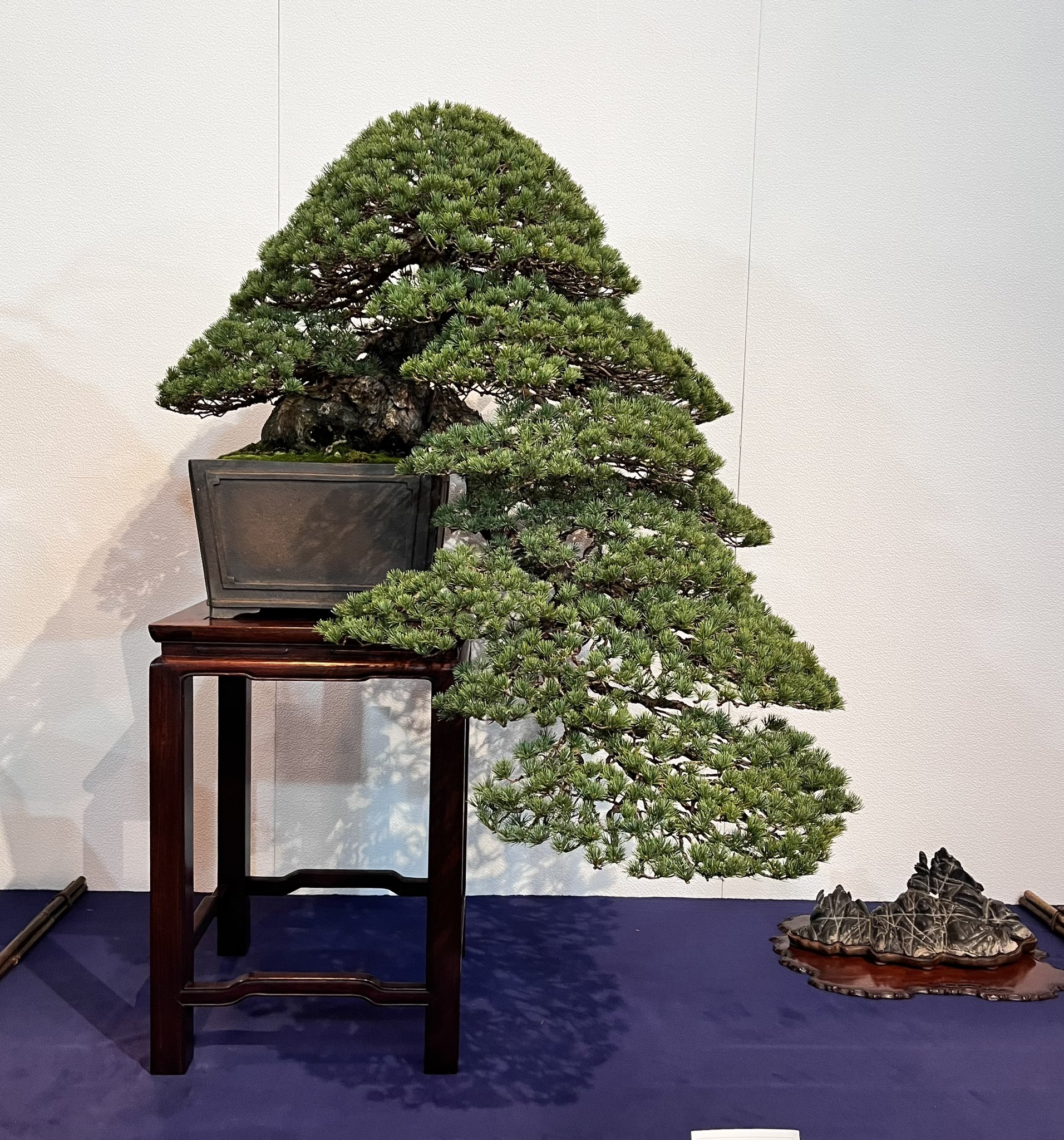 盆栽風置物 TRADMAN'S BONSAI LIGHT UVパネル ※パネルのみ(PROお持ちの方は