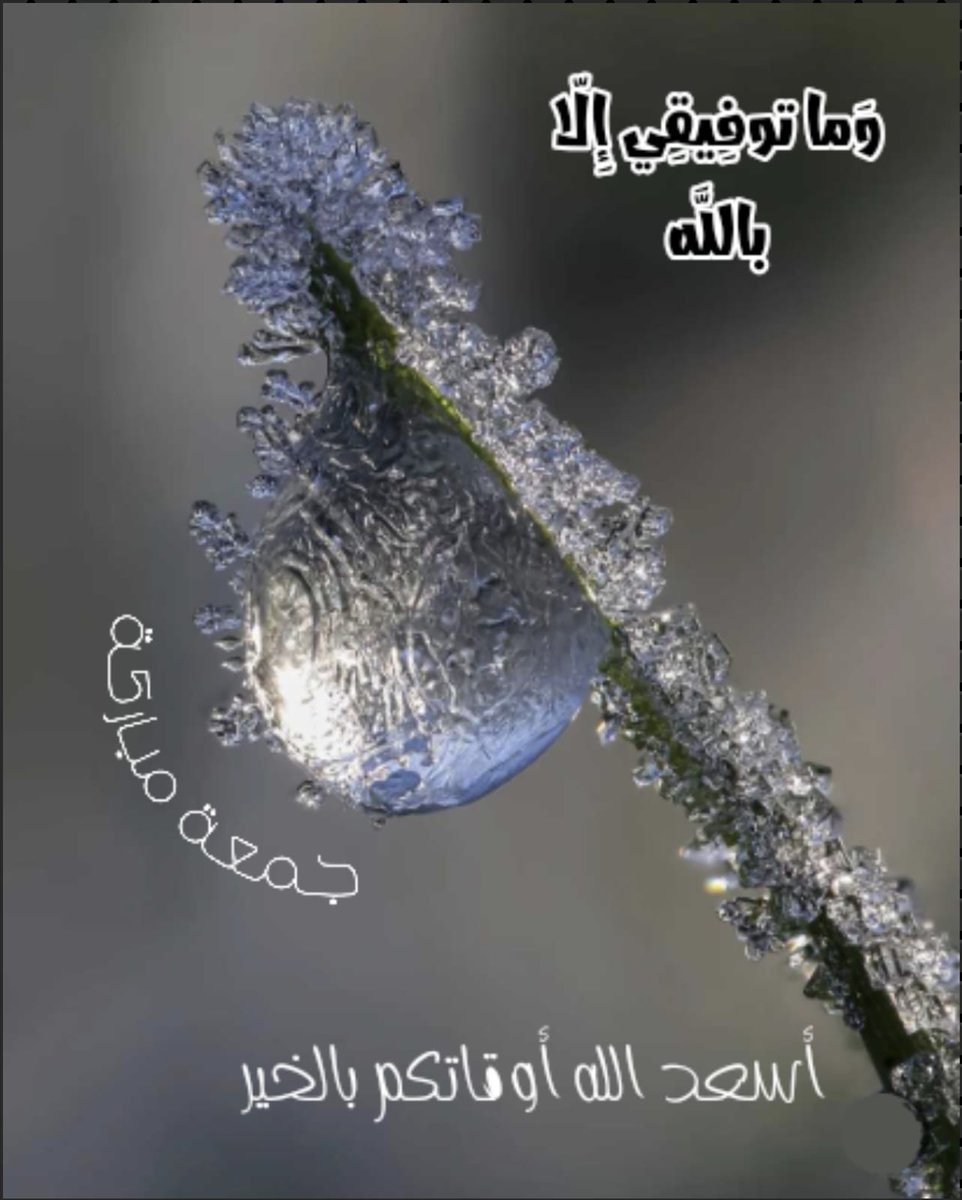 مع الحق أكون دائما (@abdulrashi77996) on Twitter photo 