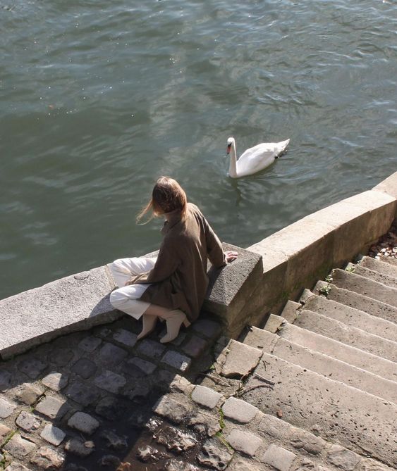 poetical photos. (@poeticalphotos) on Twitter photo 