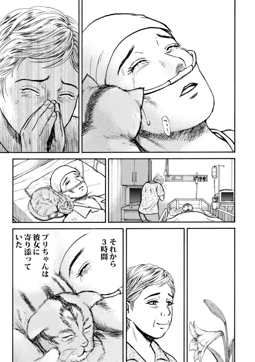 【自分の人生を全うしようとする彼女を応援するお話④】2/4   はなうた