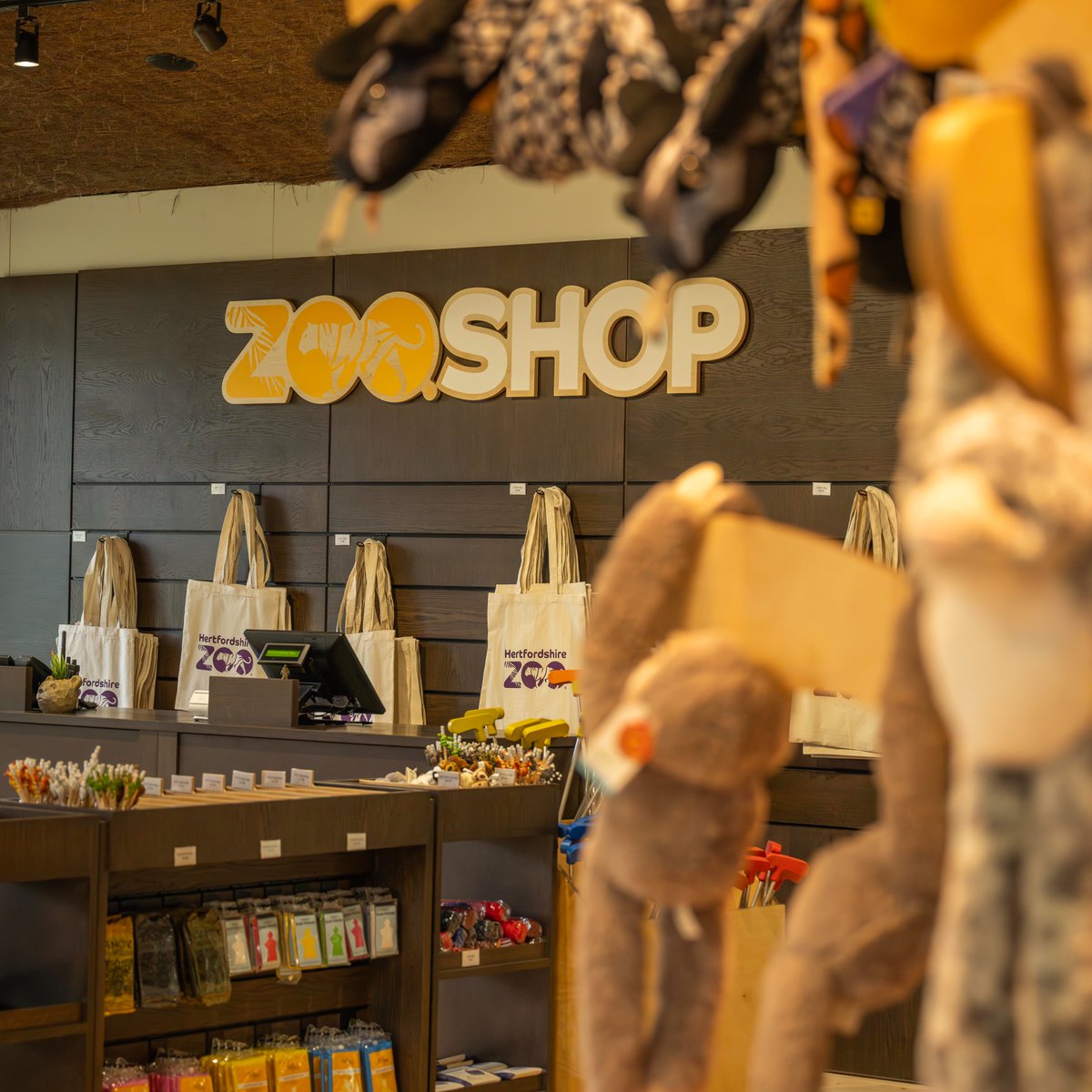 HertsZoo's tweet image. 🎉 WE REOPEN TOMORROW!🎉

We are FINALLY reopening and we are excited for you to experience ALL our exciting new developments! 🙌

Book your tickets NOW! 👉 hertfordshirezoo.com/product/day-ti…

#reopen #reopening #tickets #zoo #announcement #hertfordshirezoo