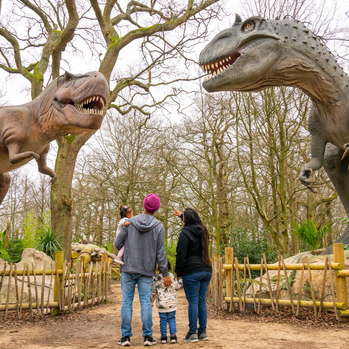 HertsZoo's tweet image. 🎉 WE REOPEN TOMORROW!🎉

We are FINALLY reopening and we are excited for you to experience ALL our exciting new developments! 🙌

Book your tickets NOW! 👉 hertfordshirezoo.com/product/day-ti…

#reopen #reopening #tickets #zoo #announcement #hertfordshirezoo