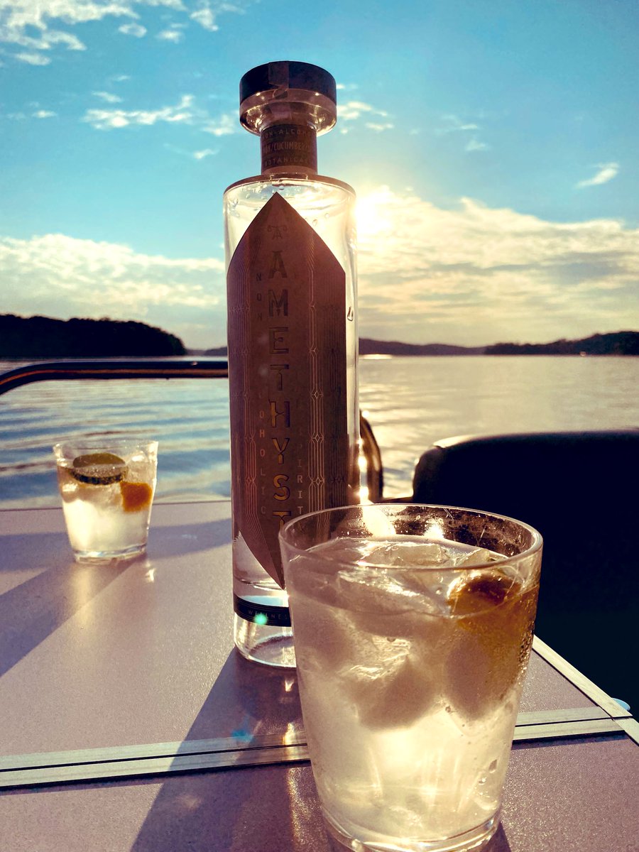 EmSS_4's tweet image. Lake Hartwell
#boatingadventures Looking forward to Summer ☺️