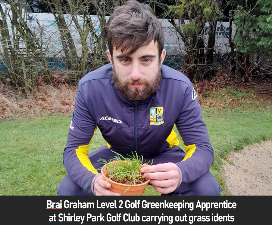 Brai Graham Level 2 Golf Greenkeeping Apprentice at Shirley Park Golf Club carrying out grass idents as part of his apprenticeship. ⛳️💚 Info on our Golf Greenkeeping apprenticeships can be found here: myerscough.ac.uk/courses/sports… #NAW2024 #SkillsForLife