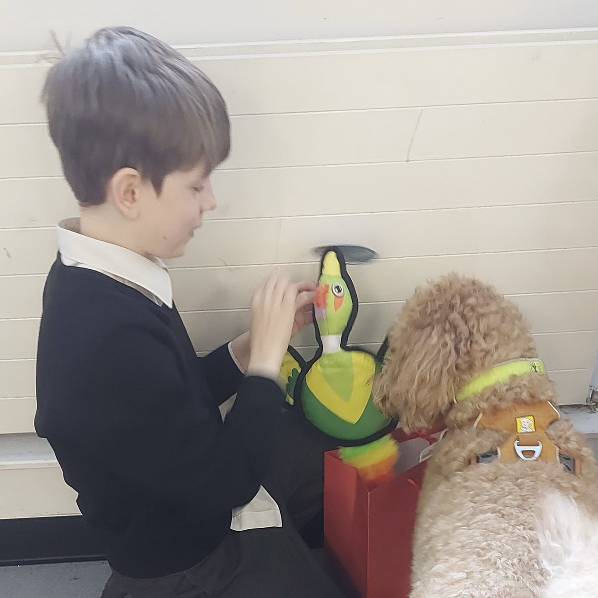 Some of the Key Stage 3 pupils had a great session with Robin - our therapy dog, earlier this week. ⁦@ImpactMAT⁩