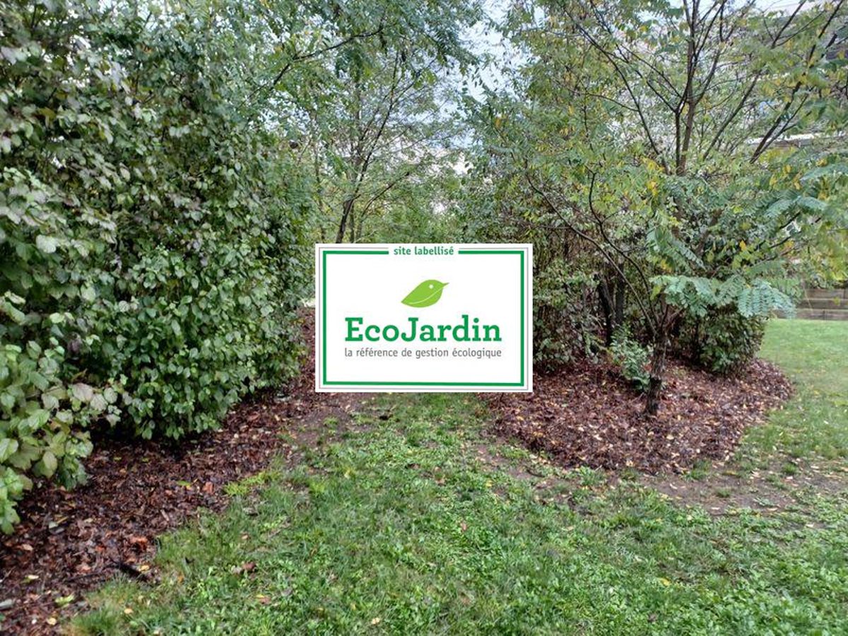 📢@Clairsienne a obtenu le @Label_EcoJardin pour la gestion écologique du #Parc Les Akènes dans cet #écoquartier à @VilledeLormont 🥇@Clairsienne est le 1er bailleur social labellisé en Nouvelle-Aquitaine 👉 bit.ly/3Hxf57x