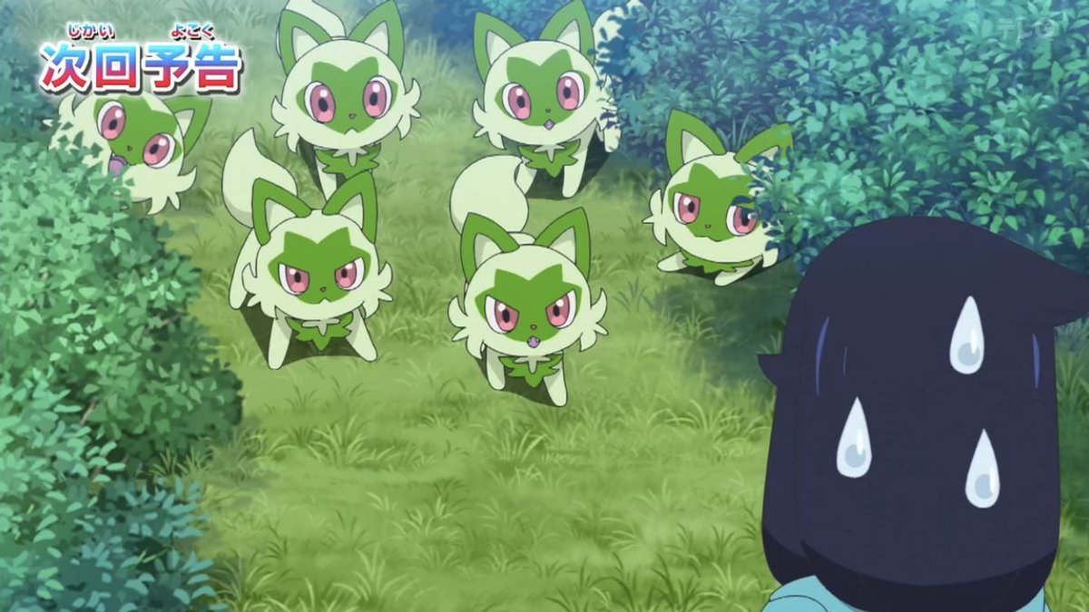 sprigatito sweatdrop no humans pokemon (creature) bush grass cat outdoors  illustration images