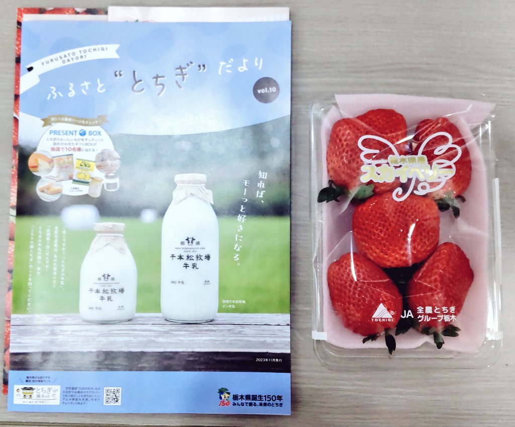 Advision17's tweet photo. 大きくて甘くて美味しいこのイチゴ🍓
本日栃木県産スカイベリーを購入してきました♪

いまディアモール大阪 ティーズスクエアでは
2/9(金)~2/11(日)限定で
いいね！栃木大抽選会を開催中！
イチゴの国内生産量、55年連続1位の栃木の魅力をぜひ味わってみてくださいね✨
#栃木県大阪事務所
#栃木県 https://t.co/HZXGPVMoXg