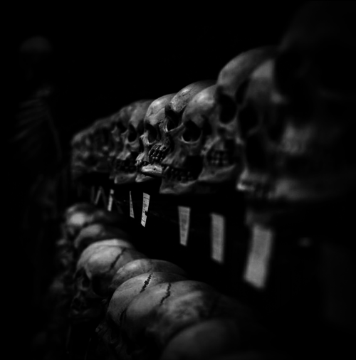 Archillect (@archillect) on Twitter photo 