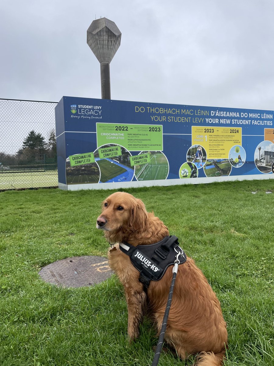 Rachel Howe (@doakyhowe) on Twitter photo Charley visited <a href="/ucdsnmhs/">UCD School of Nursing, Midwifery & Health Systems</a> this morning after his walk <a href="/ucddublin/">University College Dublin</a> 🥰🐕#pettherapy #doggyresearch Charley visited <a href="/ucdsnmhs/">UCD School of Nursing, Midwifery & Health Systems</a> this morning after his walk <a href="/ucddublin/">University College Dublin</a> 🥰🐕#pettherapy #doggyresearch