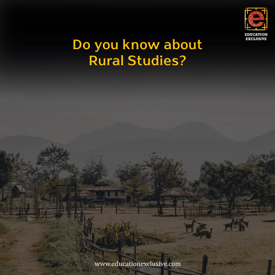 educationexclus's tweet photo. The BRS degree opens up numerous opportunities for further education.

To know more about the course, click on the link below

https://t.co/fonpBgv6ls

#EducationExclusive #RuralStudies #UnknownSubjects https://t.co/s9xZ0TIVOZ