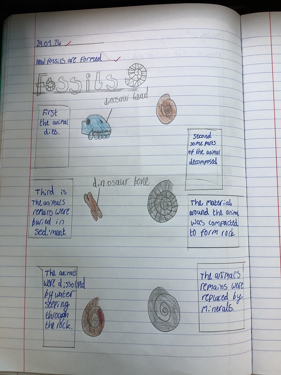 OPAcademy's tweet photo. Year 3 have been learning all about fossils and how they are created as part of our science work. We created our very own fossil posters to showcase our understanding of how they are created. I think you'll agree, they look fabulous! #OPATogether #OPAJuniorAchieve #OPAYear3 https://t.co/vphkIUT0UW