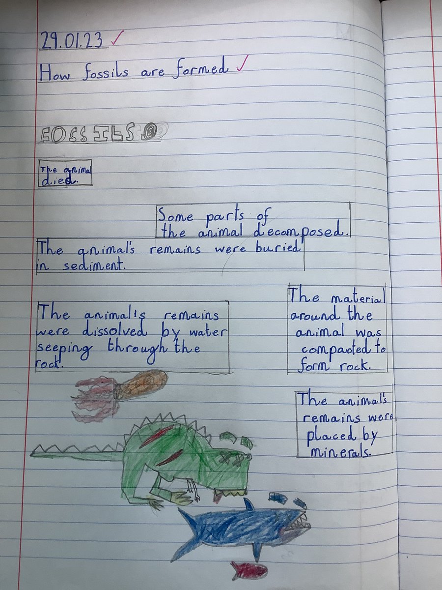 OPAcademy's tweet photo. Year 3 have been learning all about fossils and how they are created as part of our science work. We created our very own fossil posters to showcase our understanding of how they are created. I think you'll agree, they look fabulous! #OPATogether #OPAJuniorAchieve #OPAYear3 https://t.co/vphkIUT0UW