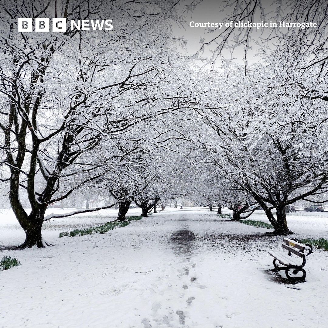 BBC York tweet media