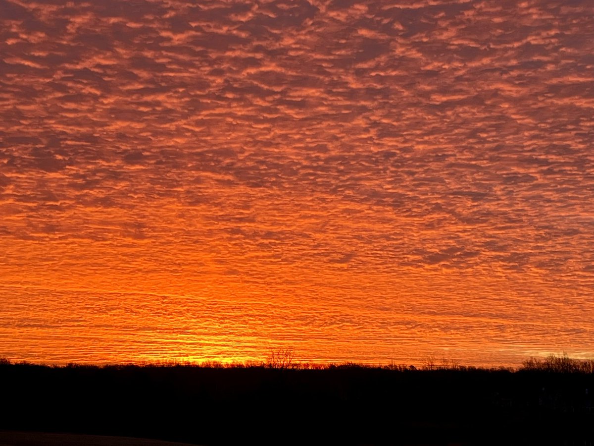 womanembraced's tweet photo. How can I not be thankful when this is what awaits my eyes in the morning? 

I hope to concentrate on God’s beautiful creation today instead of the worldly noise on social media that never seems to shut up. 

#sunrise #wintersunrises #sunrisesofx #thankful #backyardpics #openskies #speechless #naturesbeauty #godspaintbrush