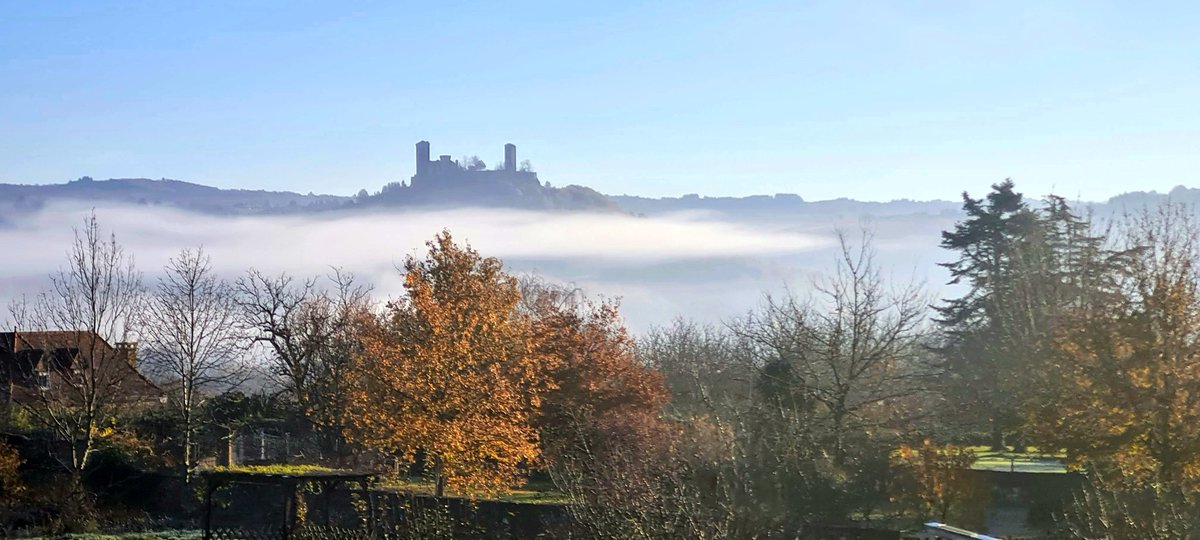 AnnProvan181744's tweet image. 