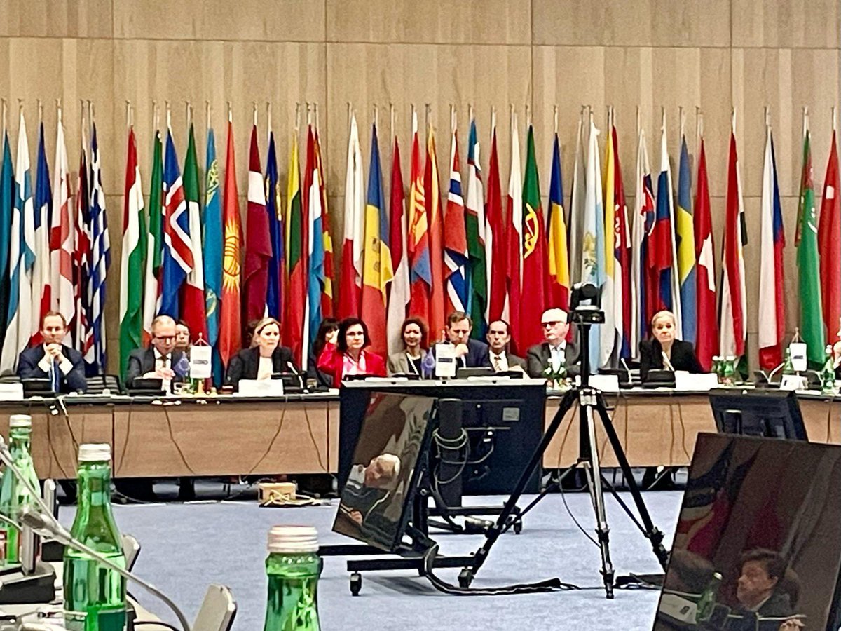 #Multilateralism works! Especially in times of cascading crises, we need to do more to listen, talk, invest in partnerships and enhance our engagement with others #OSCE #UN. #Buildingbridges by #EU PSC Ambassadors