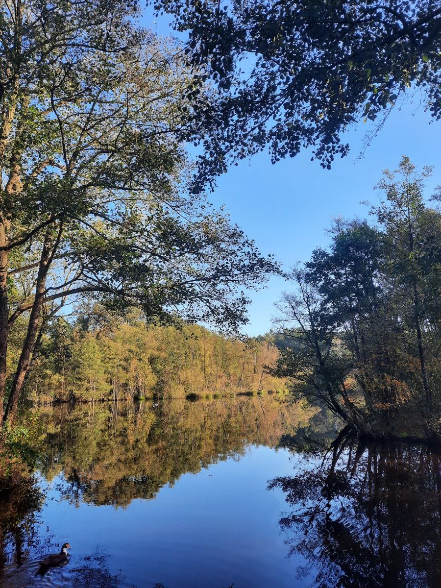 It is amazing what you can accomplish if you do not care who gets the credit