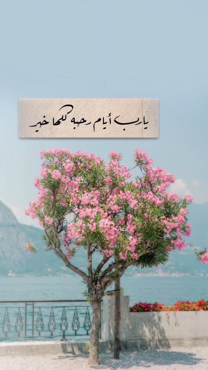 toobaa112's tweet photo. #يوم_الجمعة https://t.co/TUBGe5cD5g