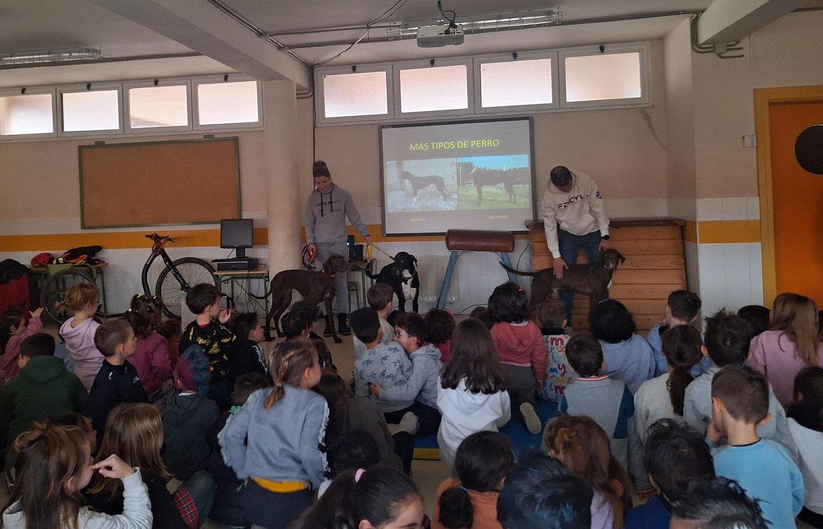 Instituto Provincial para el Deporte y Juventud tweet media