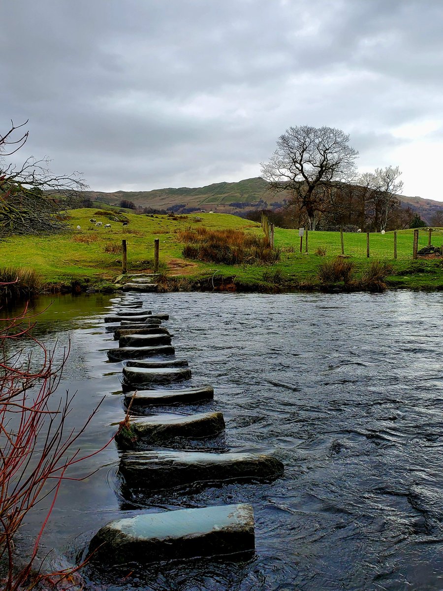 Stepping stones to freedom #nature