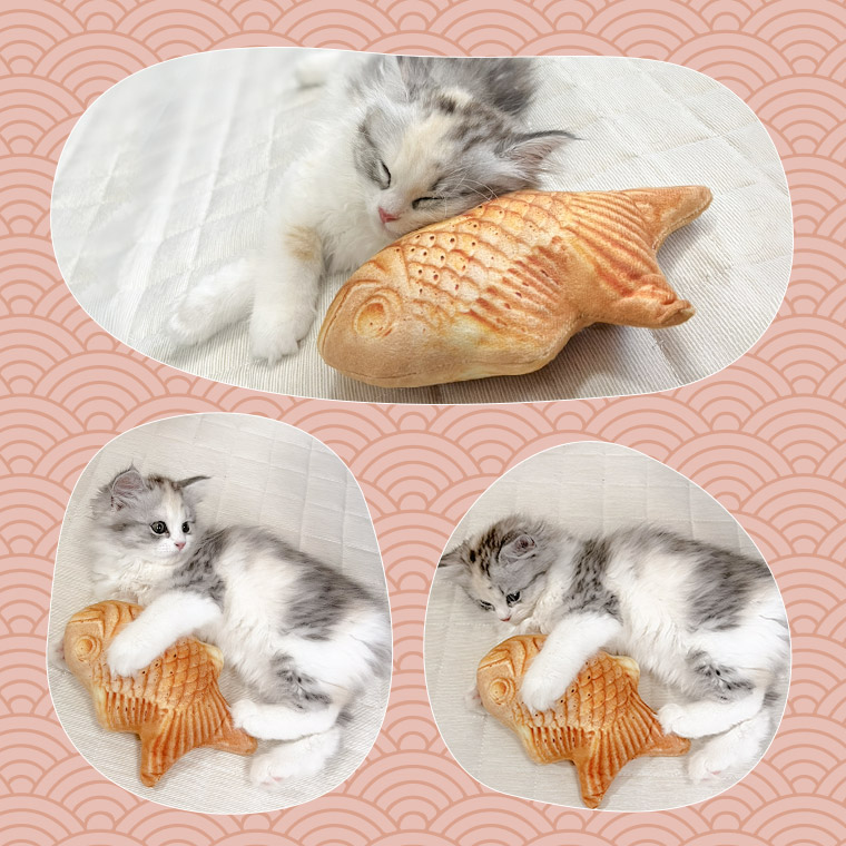 JapanThejulius's tweet photo. 来週は #バレンタイン
 
あっ！忘れてた…という方に朗報！  
#LINEギフト  なら当日でもOK！！  

先にメッセージを送って
ギフト届くのは後日
 
「 #今日あげたい 」という気持ちが 伝わりますよ♥

 #ペット好き さんへの ギフトにいかが♪  

JULIUS ペットギフト 
https://t.co/0GT77B48zo https://t.co/FK5U8TykTc