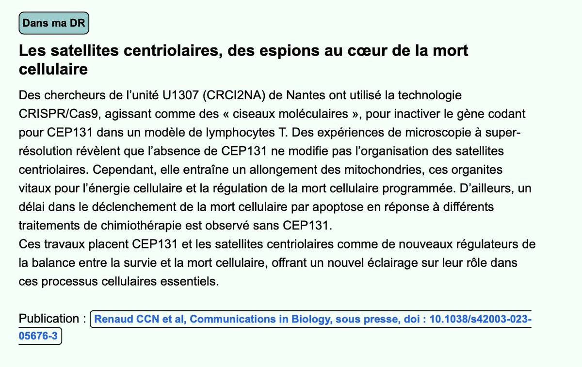 SOAP (@labsoap) on Twitter photo merci <a href="/InsermGrdOuest/">Inserm Grand Ouest</a> pour le résumé sur les travaux <a href="/nbidere/">Nicolas</a> <a href="/Clotilde_Re/">Clotilde R</a> <a href="/labsoap/">SOAP</a> #satellites #mortcellulaire #lymphocyte @Crci2naClub merci <a href="/InsermGrdOuest/">Inserm Grand Ouest</a> pour le résumé sur les travaux <a href="/nbidere/">Nicolas</a> <a href="/Clotilde_Re/">Clotilde R</a> <a href="/labsoap/">SOAP</a> #satellites #mortcellulaire #lymphocyte @Crci2naClub