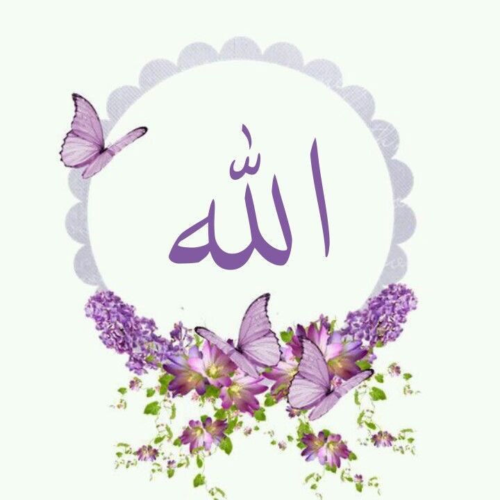 Hayırlı Cuma
En hayırlısını getirsin 
Ömrünüze..
Cumanız hayırlara iyi
İnsanlar 🤲🌼🍃💙🙋🏻‍♀️