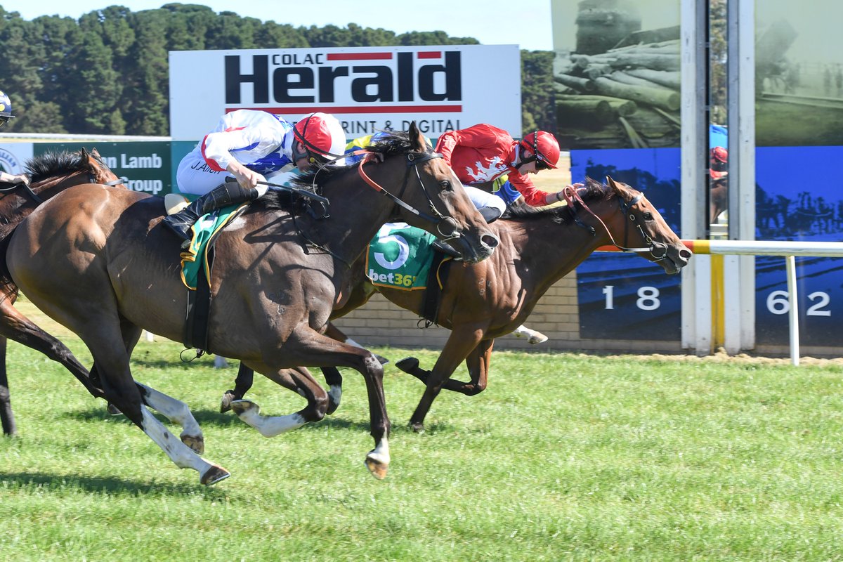 Racing Victoria tweet media