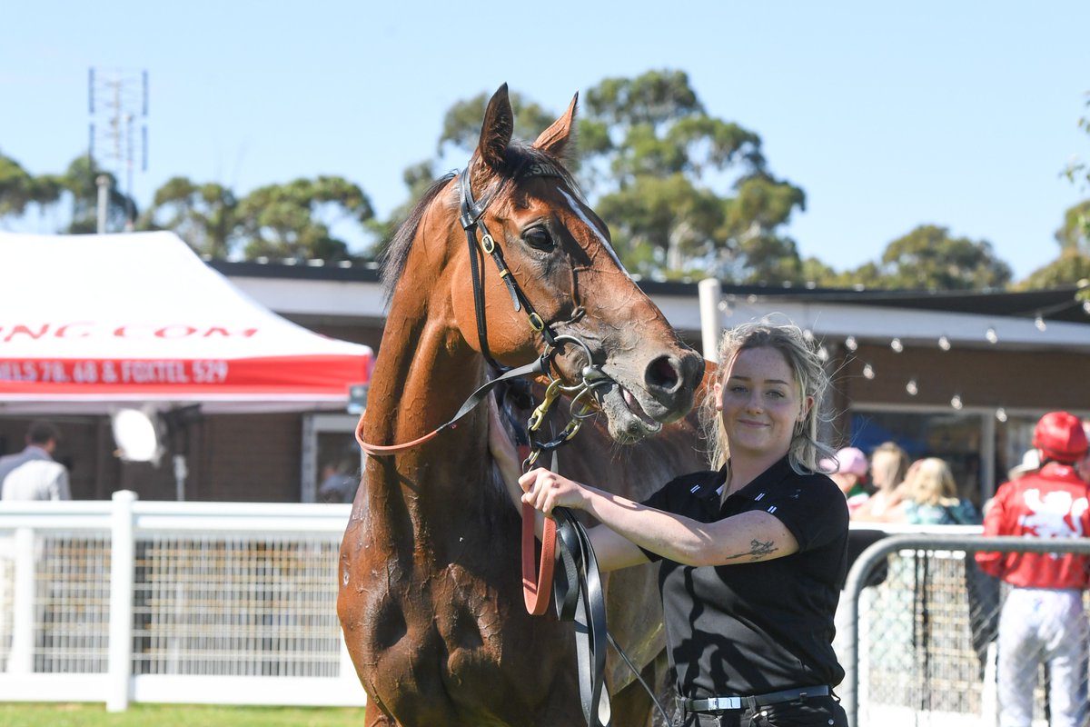 Racing Victoria tweet media