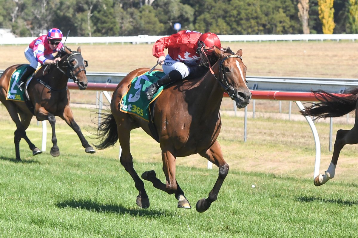 Racing Victoria tweet media